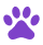 Pet Care
